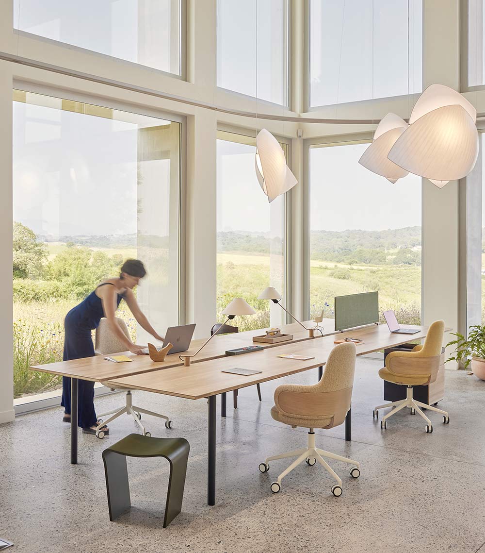 Nouvelle collection Bibolina Office