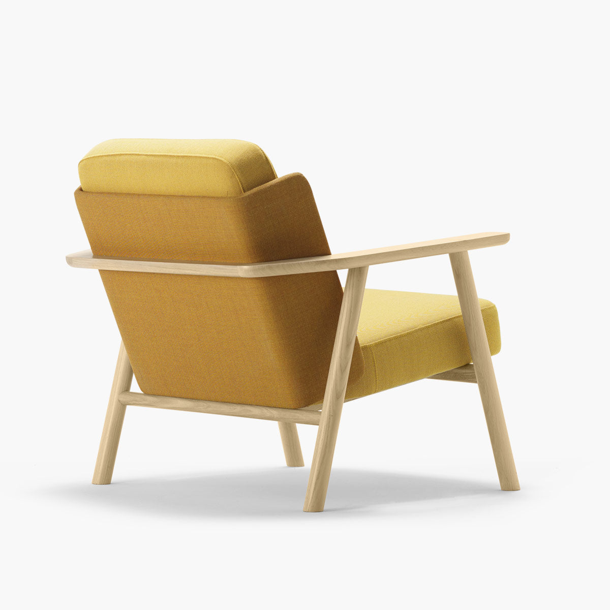 Lasai Lounge Chair