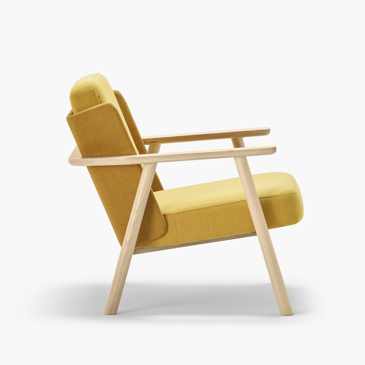 Lasai Lounge Chair